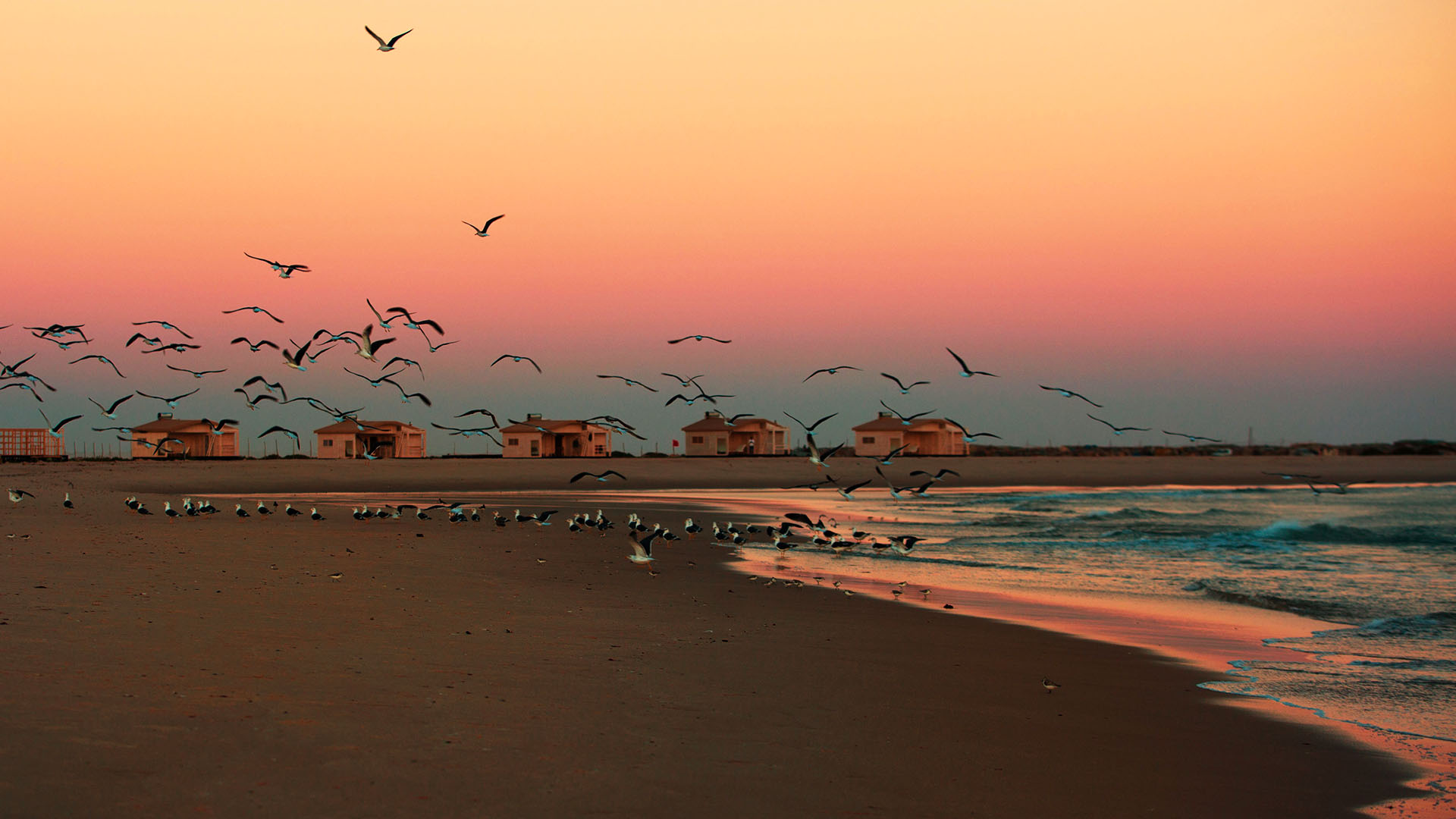 sunset on the beach with bungalows