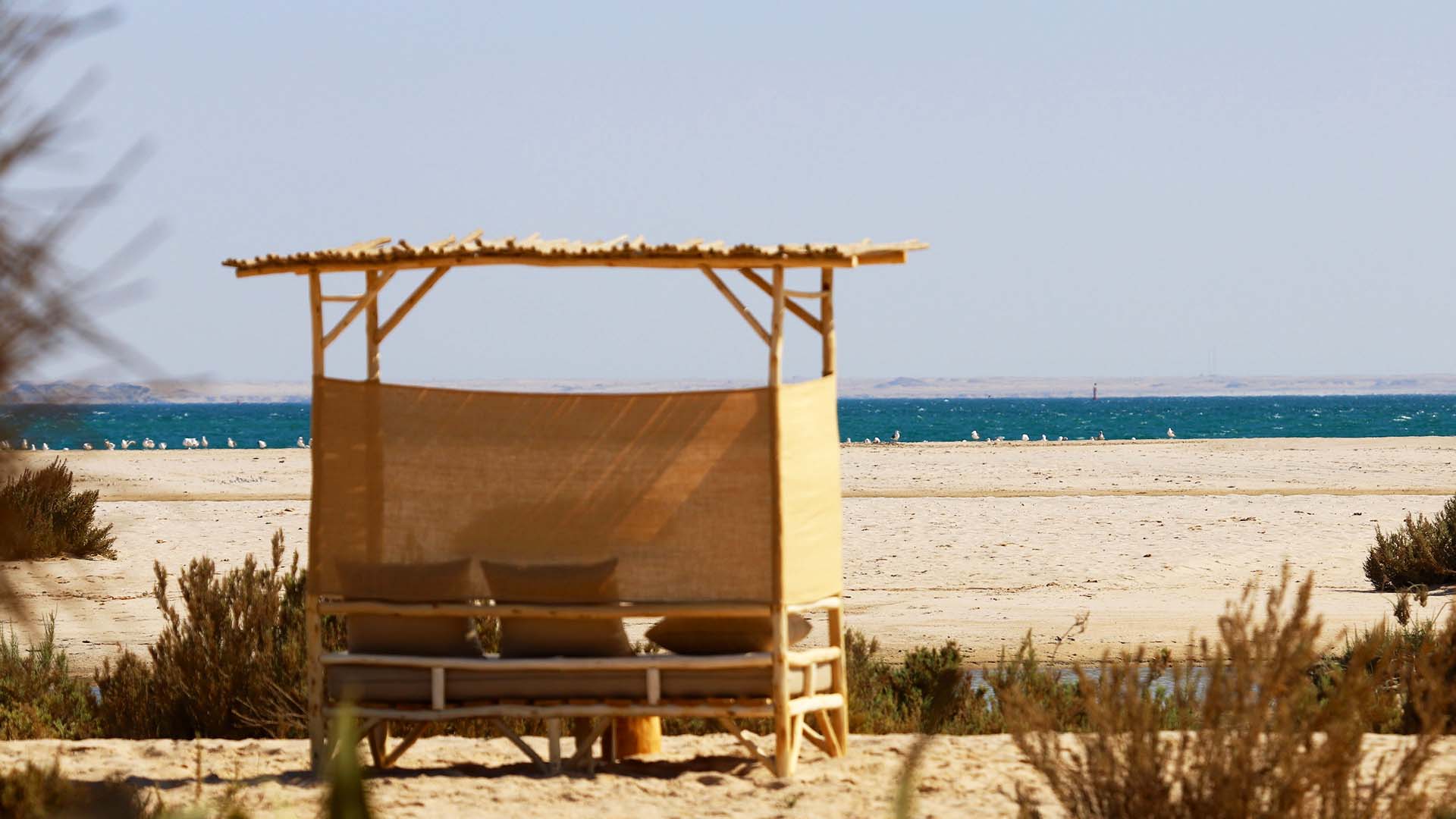 terrace with a view on the ocean in the middle of the desert