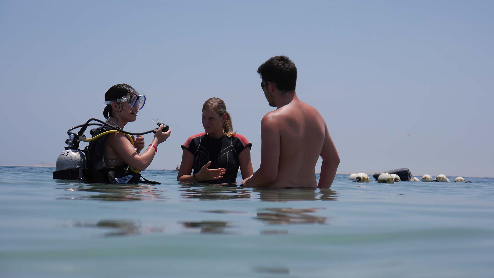 lessons of diving on the red sea of egypt