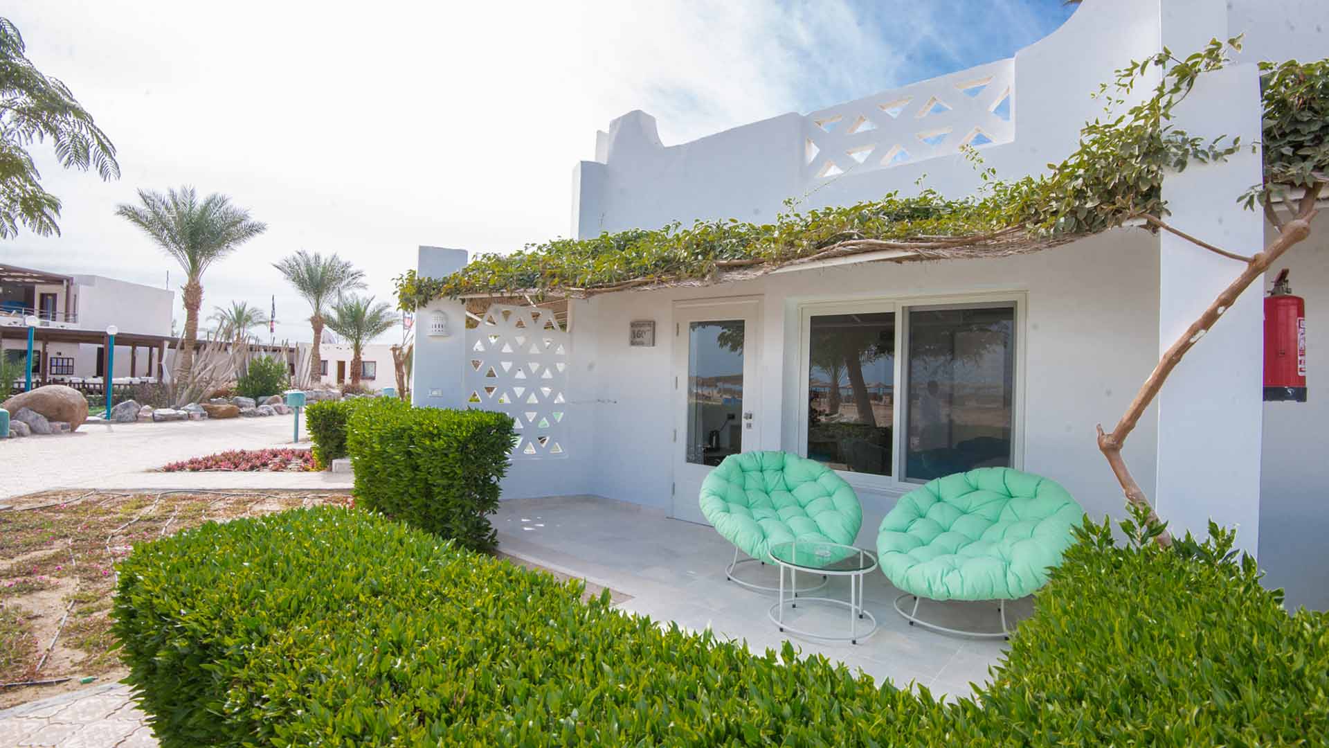 terrace of shams lodge with plants