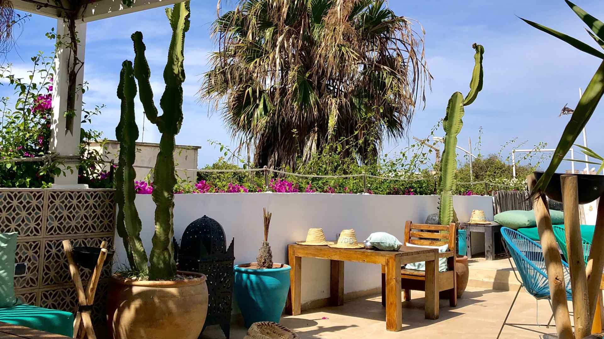 terrace vent des dunes with palmers and cactus