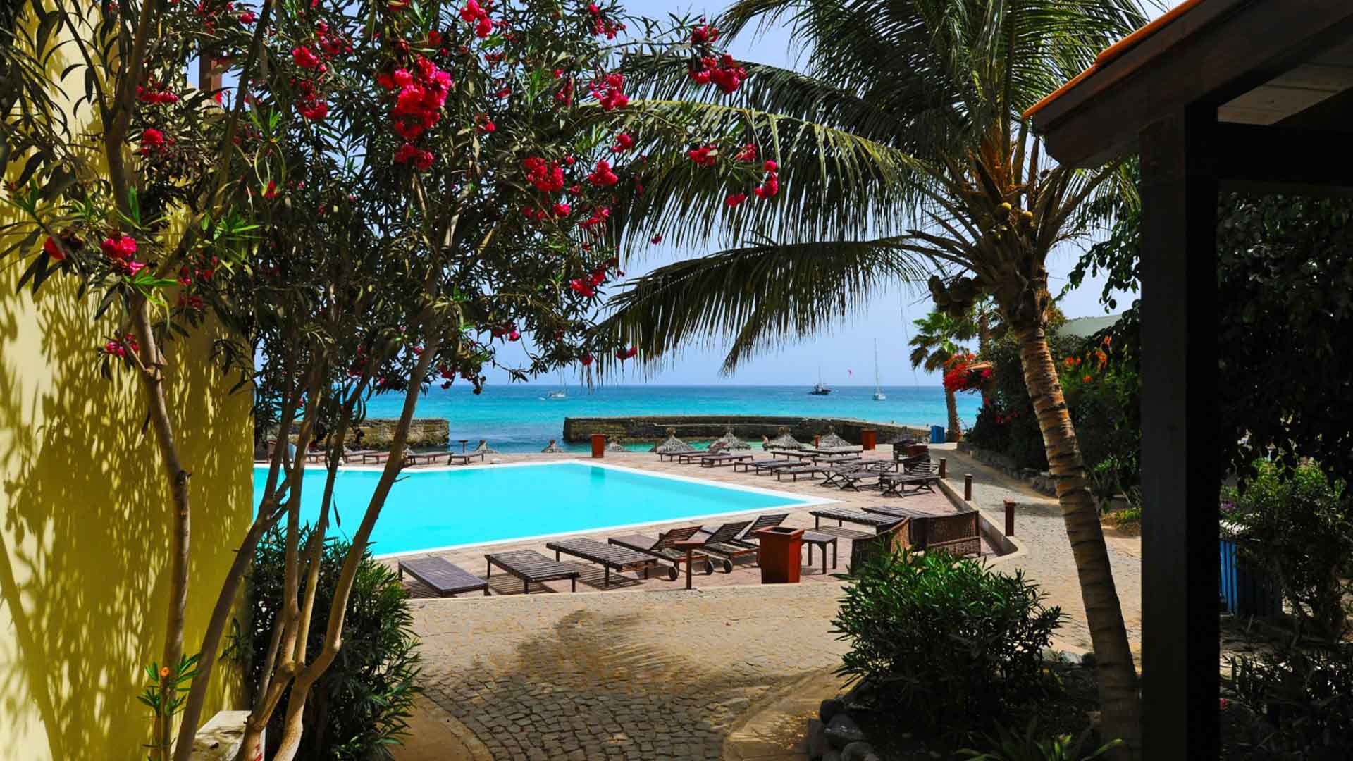 pool in front of the beach with palmers in cape verde