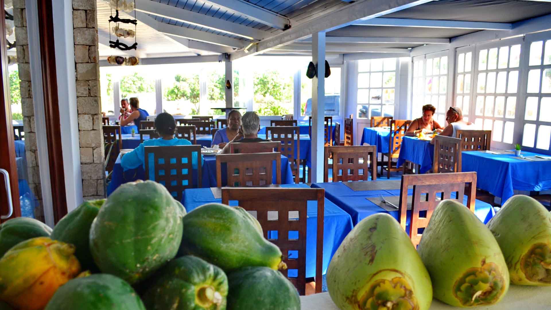 restaurant with mango and blue chairs in sal