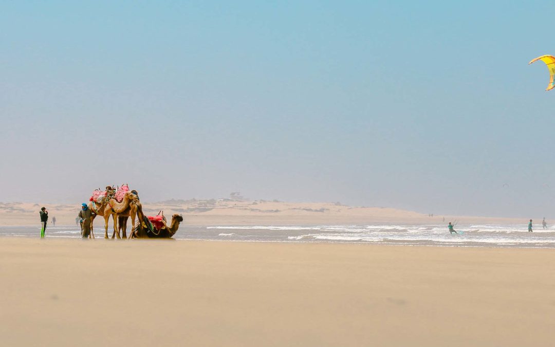 TARIFA ODER ESSAOUIRA: WHICH WIND CAPITAL?