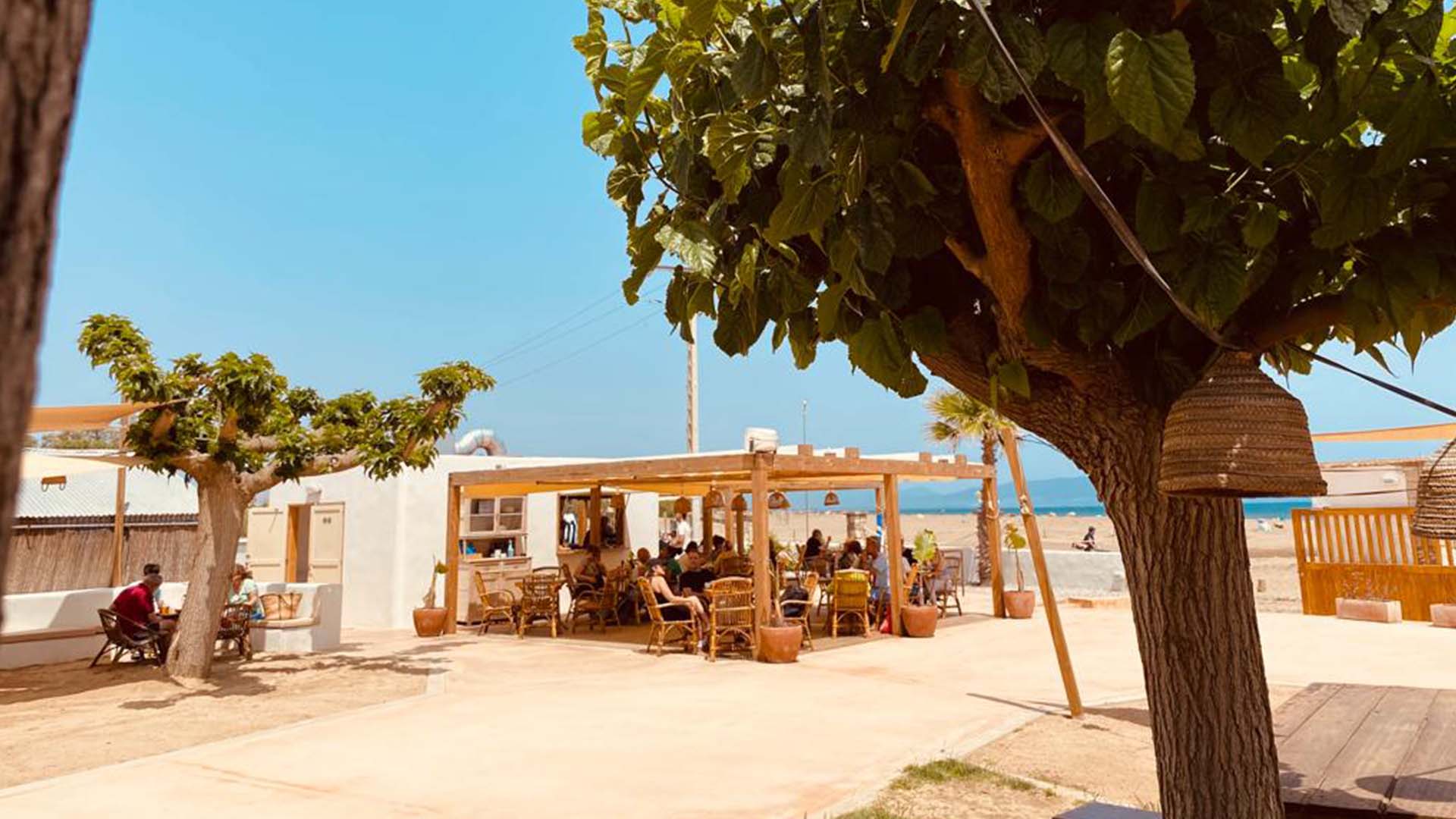 rio mar hotel terrace with tree