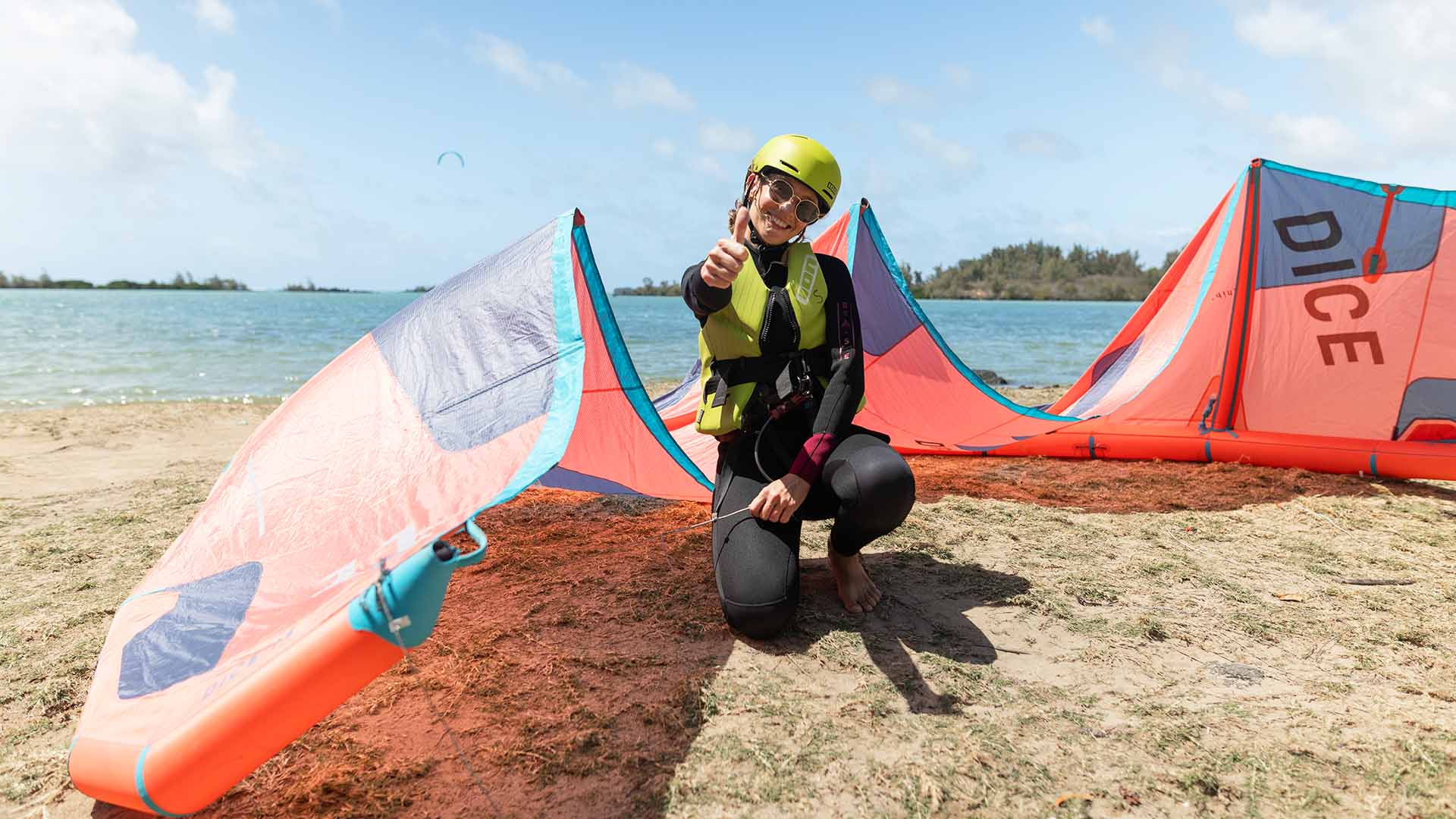 ion harness on the beach with pink, blue and grey colors