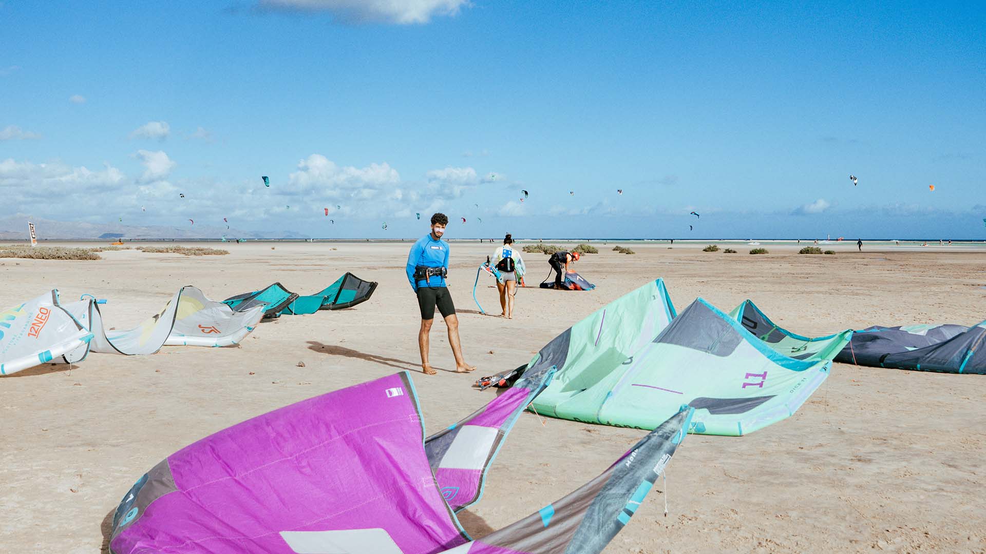 ion harness on the beach with pink, blue and grey colors