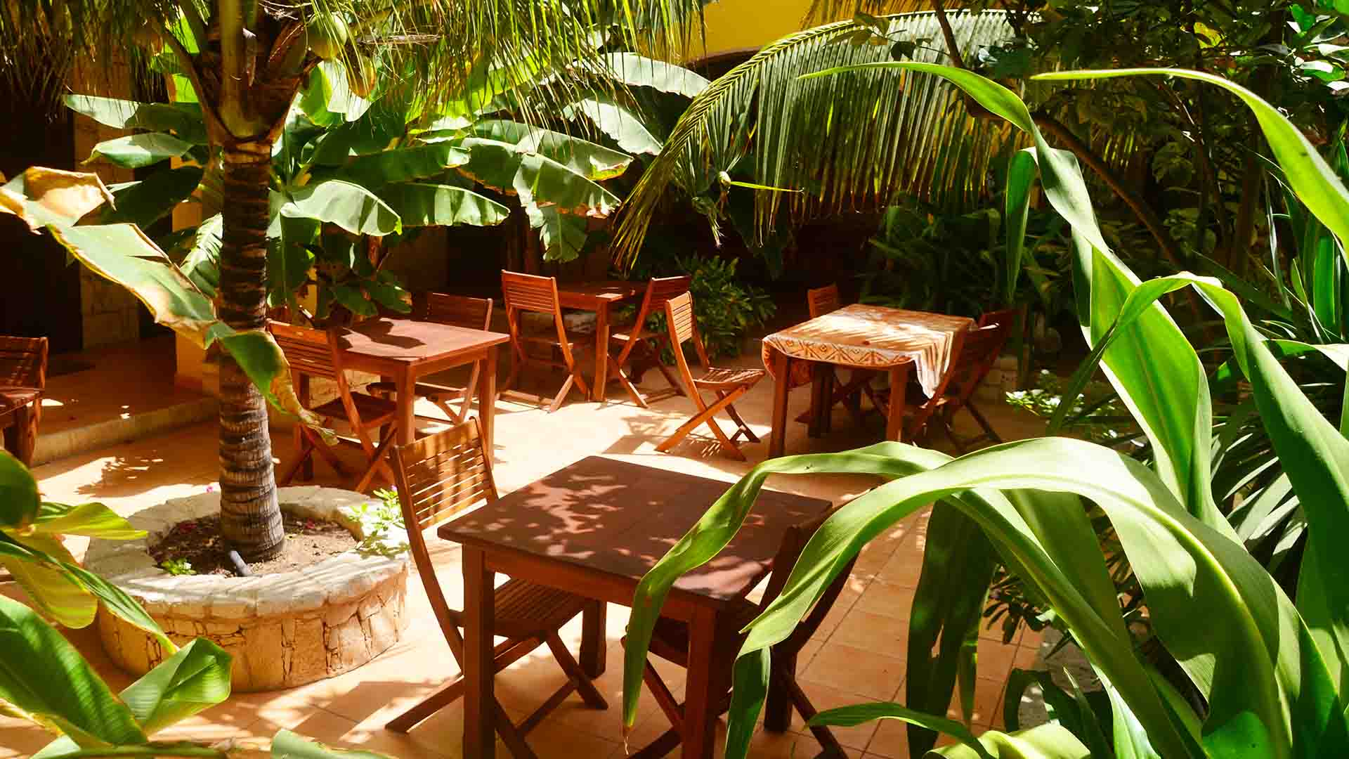 petit dejeuner dunas resort